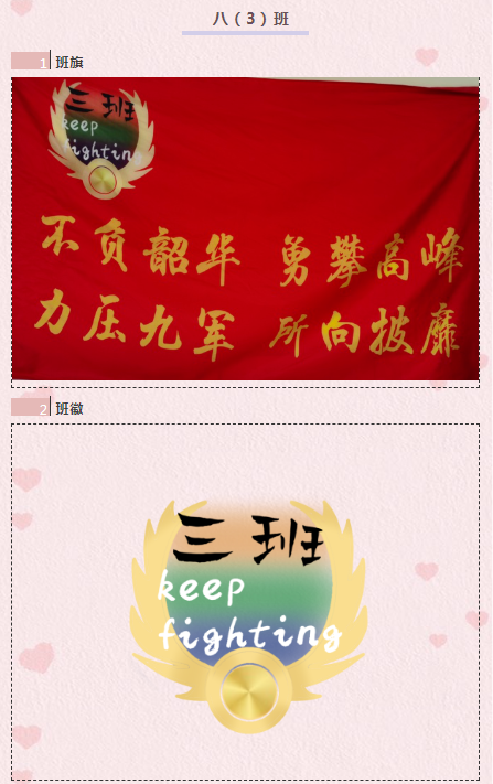 百花旗放徽洒青春八年级班徽班旗设计展示