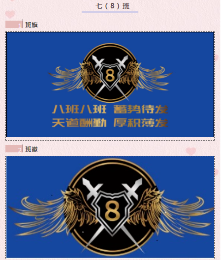 百花旗放徽洒青春八年级班徽班旗设计展示